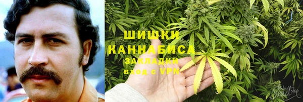 PSILOCYBIN Балахна