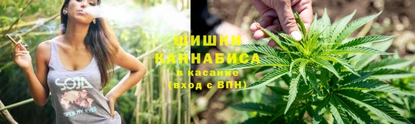 PSILOCYBIN Балахна
