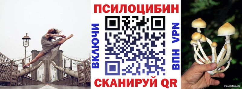 Псилоцибиновые грибы ЛСД  купить наркотик  Ленинск-Кузнецкий 